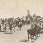 Il Comandante degli Ascari: Le imprese libiche di Secondo Diana-Crispi.