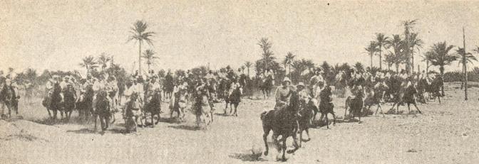 Il Comandante degli Ascari: Le imprese libiche di Secondo Diana-Crispi.